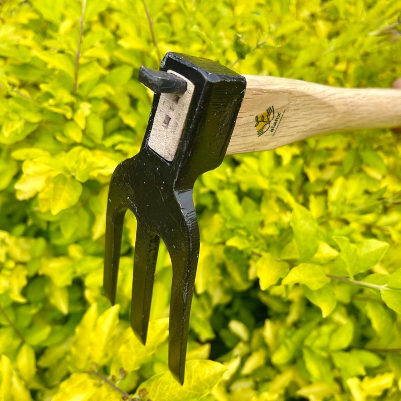ALANX 14 inch Japanese Hand Tiller/Rake for Garden, 3-tines Cultivator, Without Welding, Oak Handle, for Digging, Soil Preparation, Chopping Through Roots and Hard Soil and Other Gardening tasks - Image 3